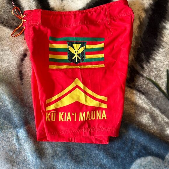 115A. Wailoa We Are Mauna Kea Kū Kia’i Mauna Kids Surf shorts (10) - Picture 3 of 6